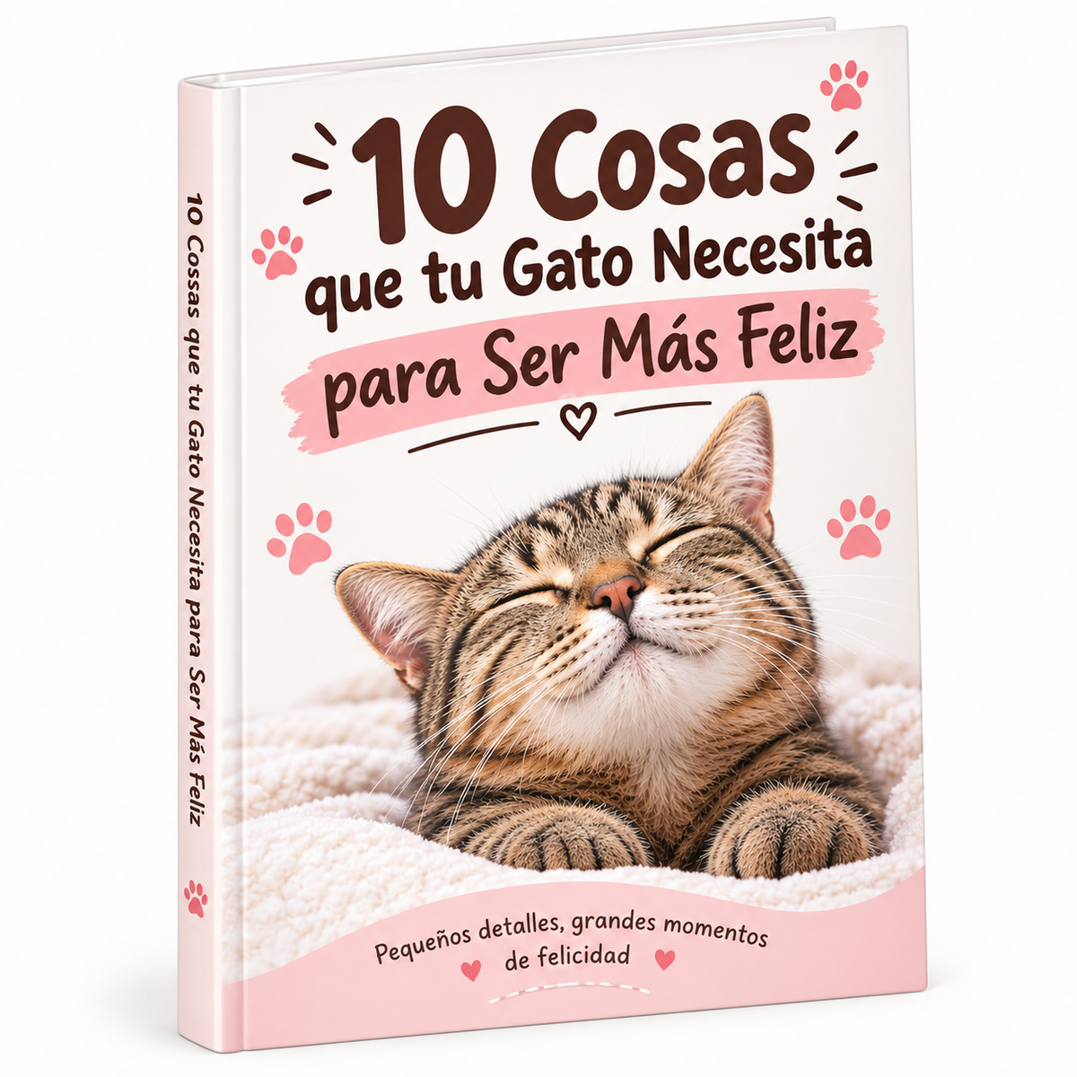 GUÍA PARA UN GATO FELIZ